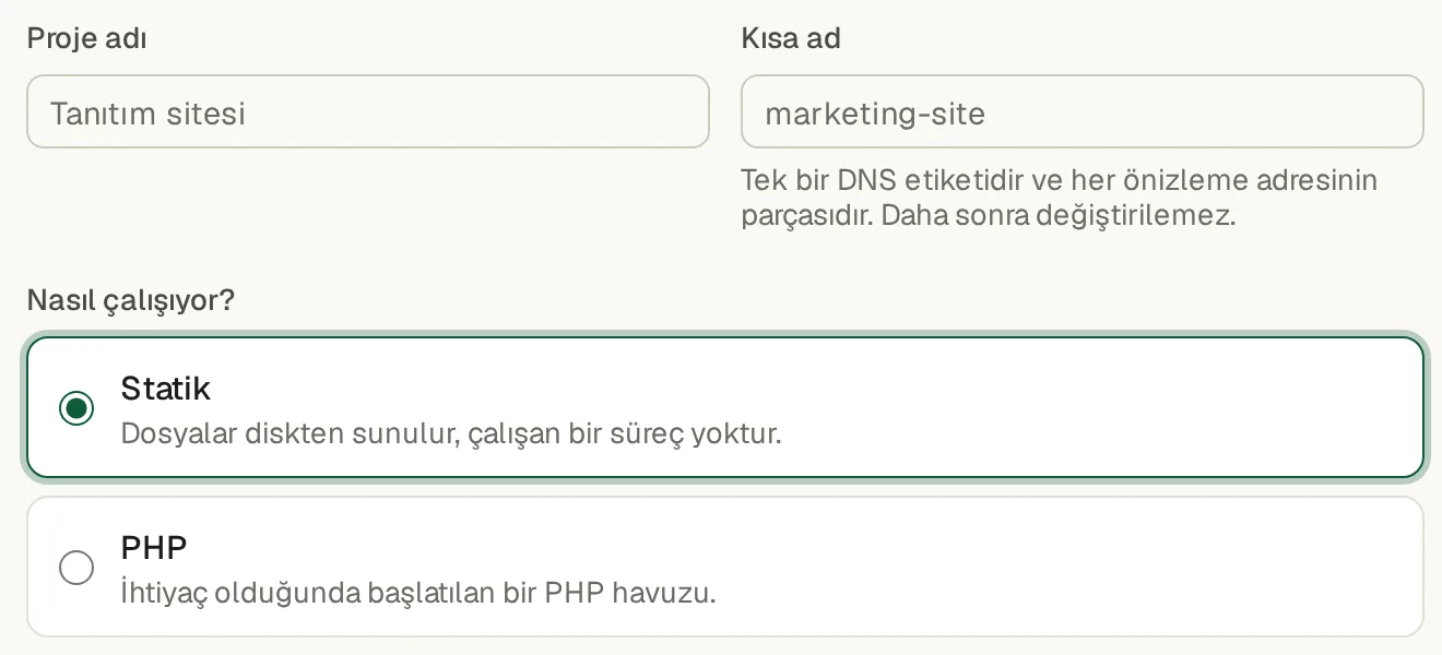 Panelde yeni proje ekranı: proje adı, kısa ad ve statik, PHP ya da konteyner seçimi